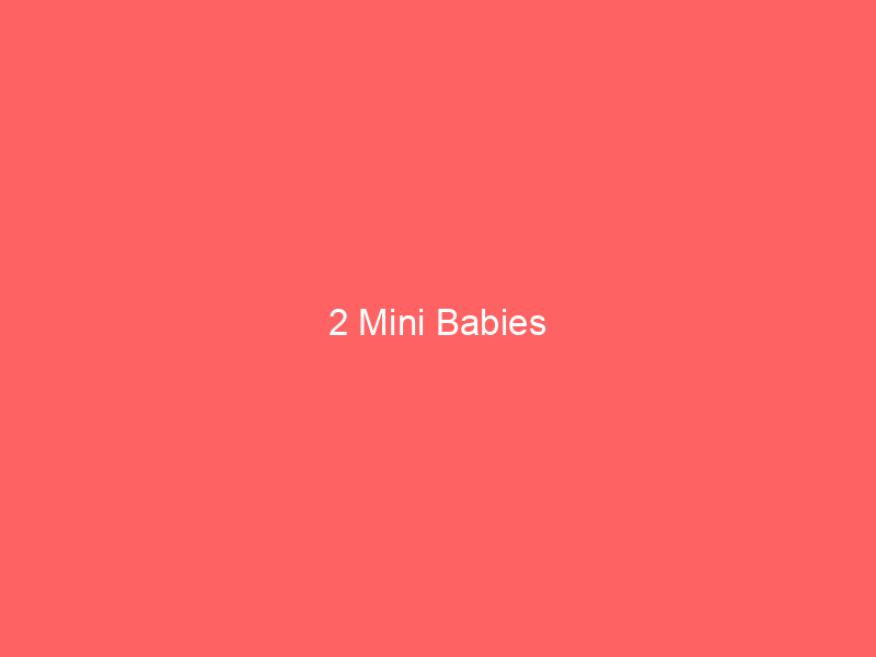 2 Mini Babies