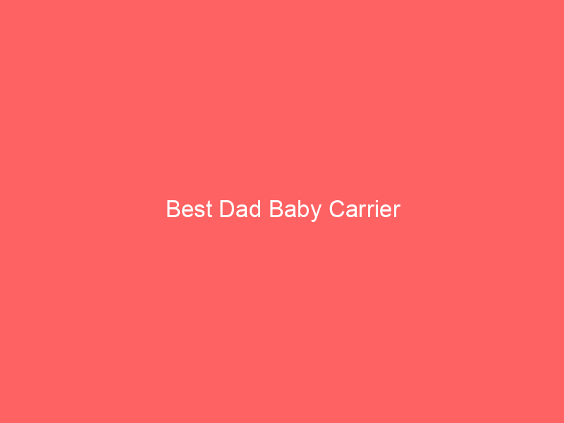 Best Dad Baby Carrier