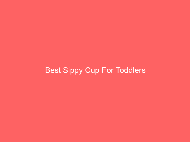 Best Sippy Cup For Toddlers