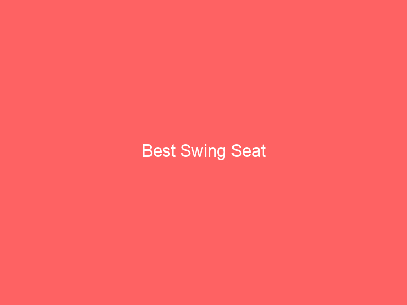 Best Swing Seat
