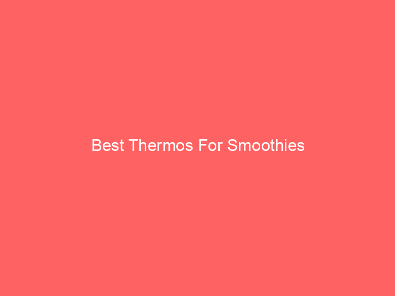 Best Thermos For Smoothies