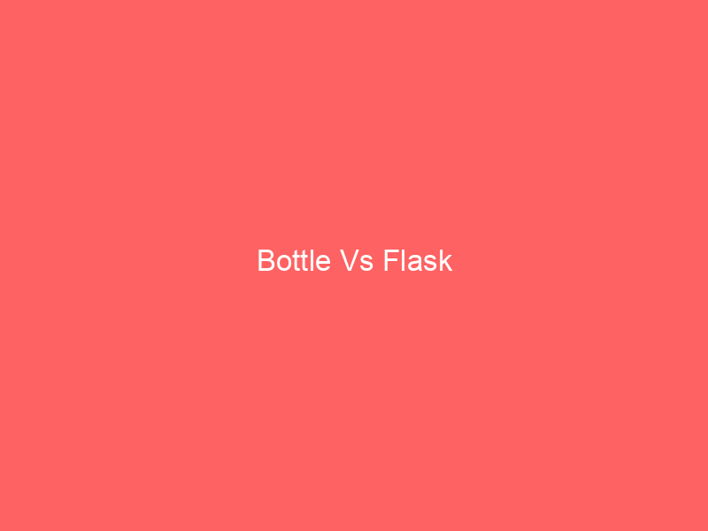Bottle Vs Flask