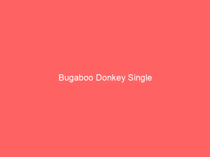 Bugaboo Donkey Single