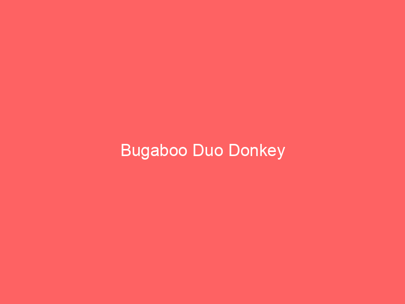 Bugaboo Duo Donkey