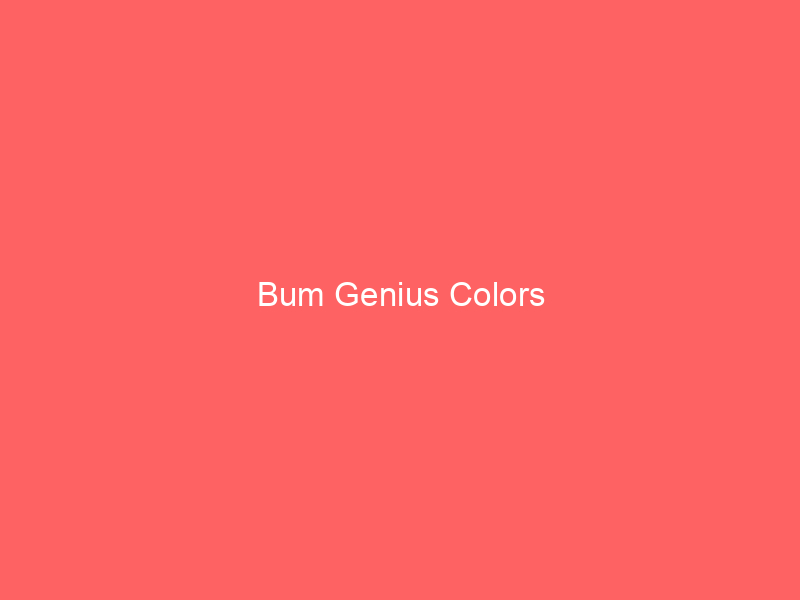 Bum Genius Colors