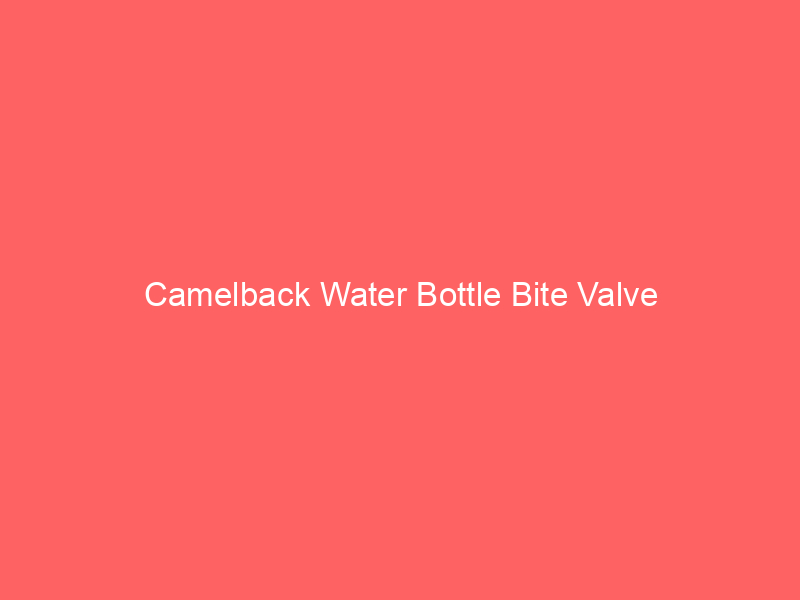 Camelback Water Bottle Bite Valve