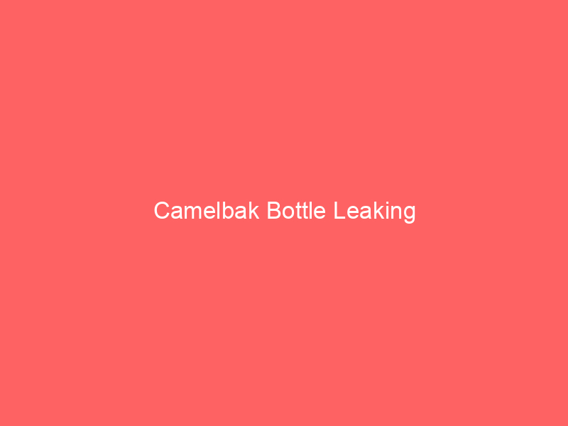 Camelbak Bottle Leaking