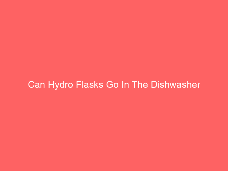 Can Hydro Flasks Go In The Dishwasher