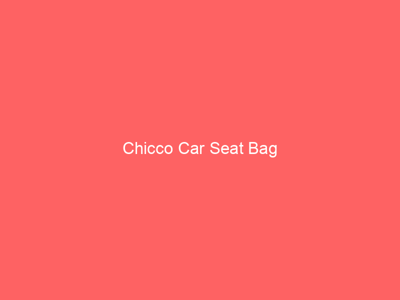 Chicco Car Seat Bag