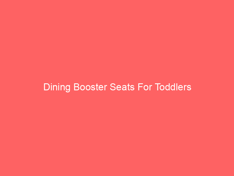 Dining Booster Seats For Toddlers