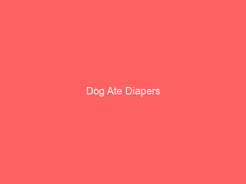 Dog Ate Diapers