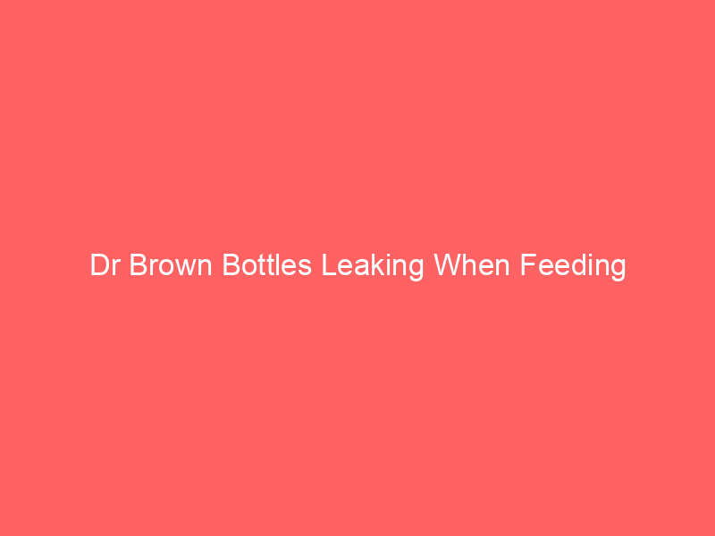 Dr Brown Bottles Leaking When Feeding