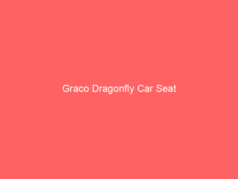 Graco Dragonfly Car Seat