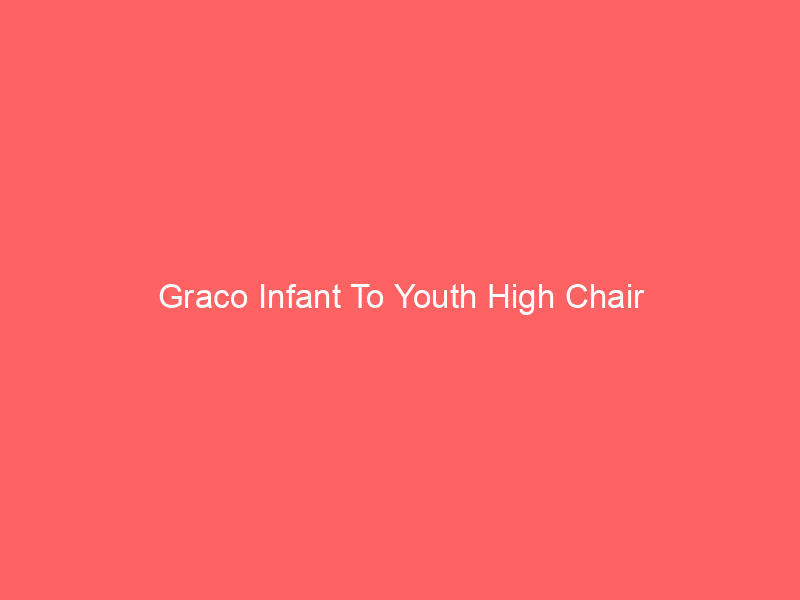 Graco Infant To Youth High Chair
