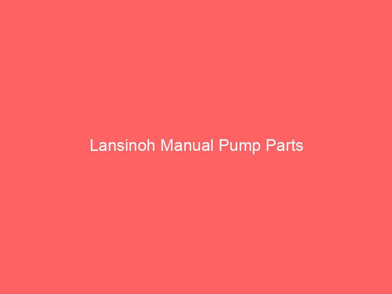 Lansinoh Manual Pump Parts