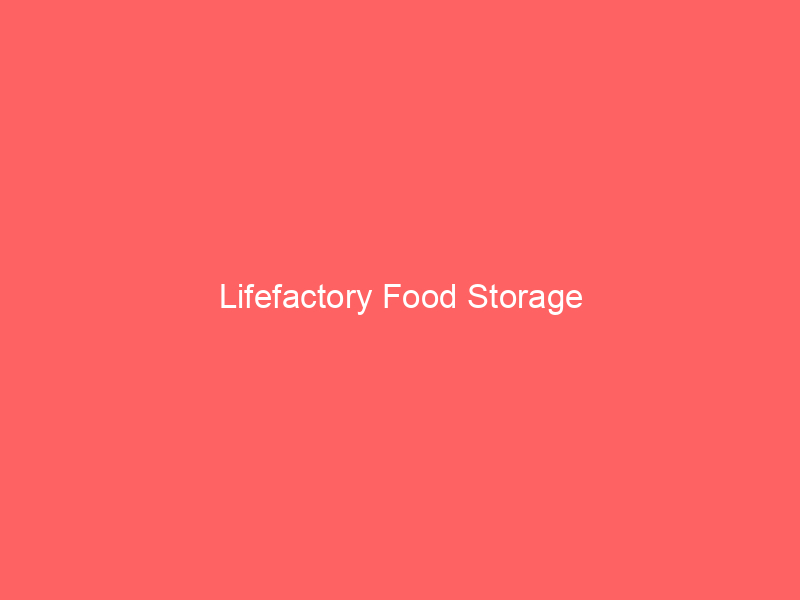 Lifefactory Food Storage