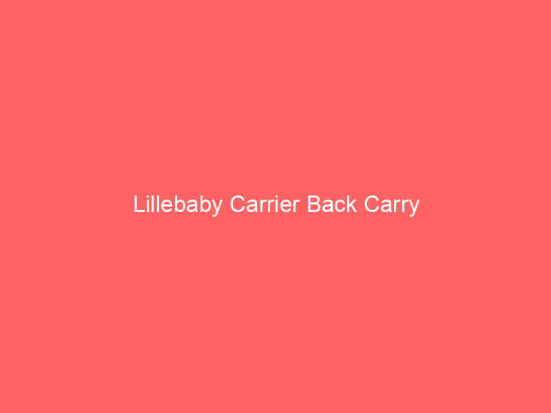 Lillebaby Carrier Back Carry