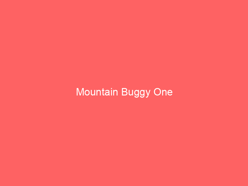 Mountain Buggy One