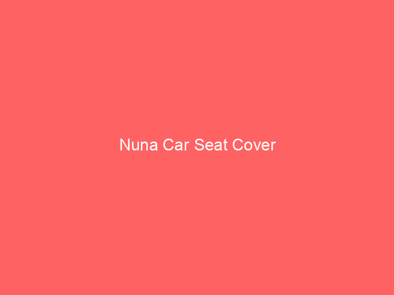 Nuna Car Seat Cover