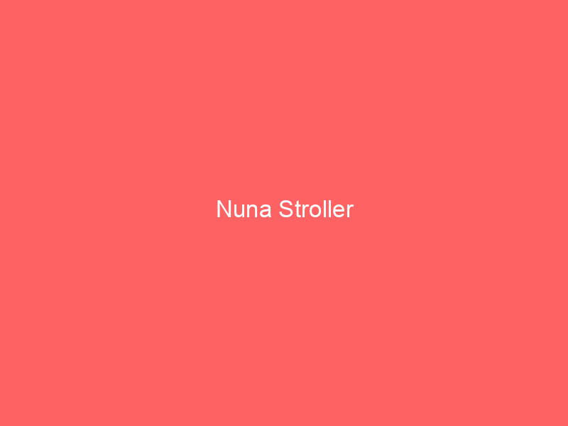 Nuna Stroller