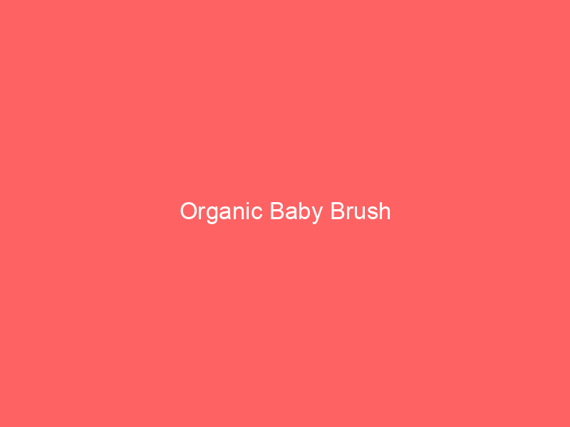 Organic Baby Brush