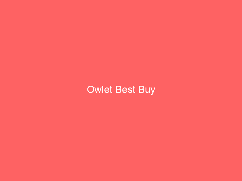 Owlet Best Buy