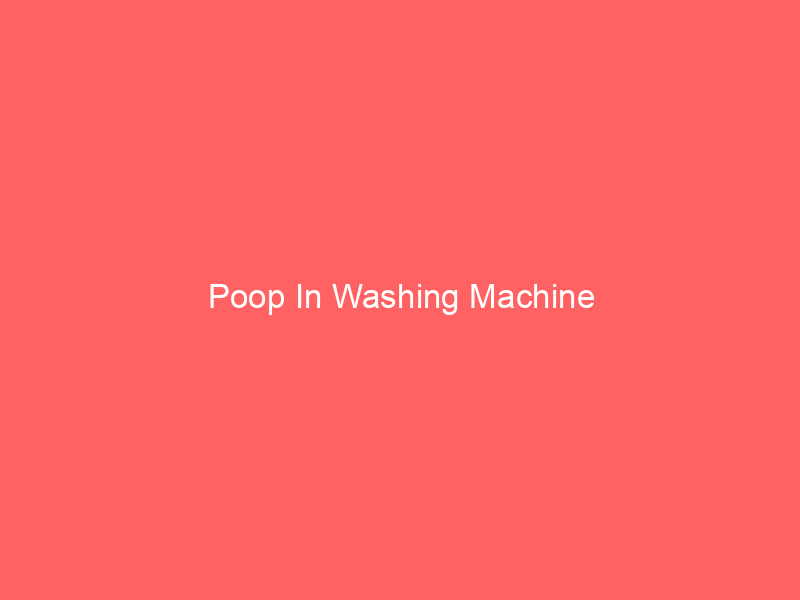Poop In Washing Machine