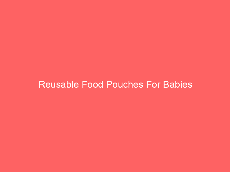 Reusable Food Pouches For Babies