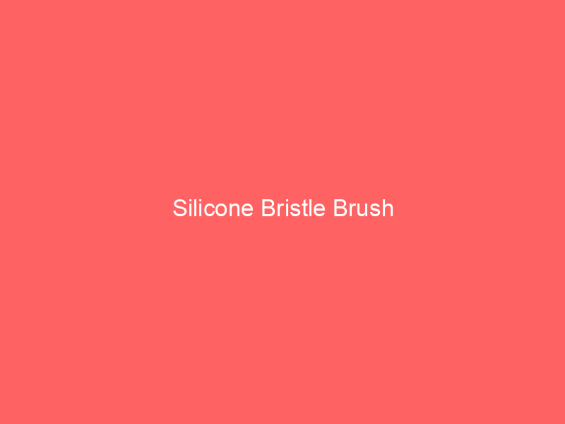 Silicone Bristle Brush