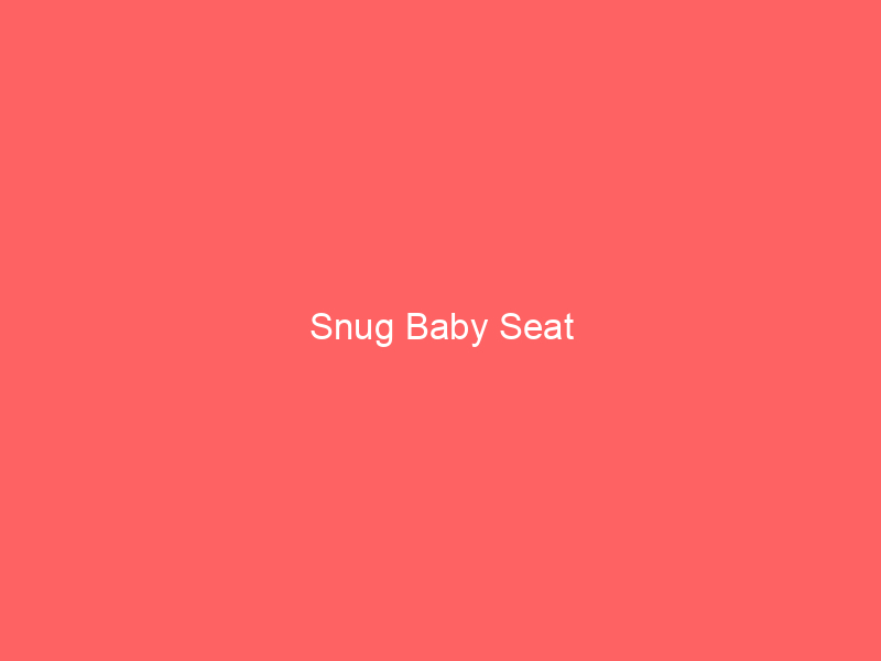 Snug Baby Seat