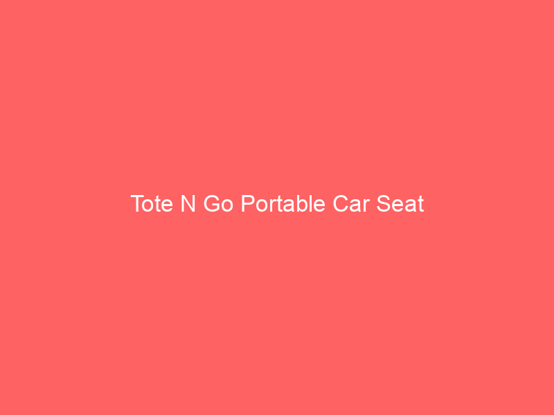 Tote N Go Portable Car Seat