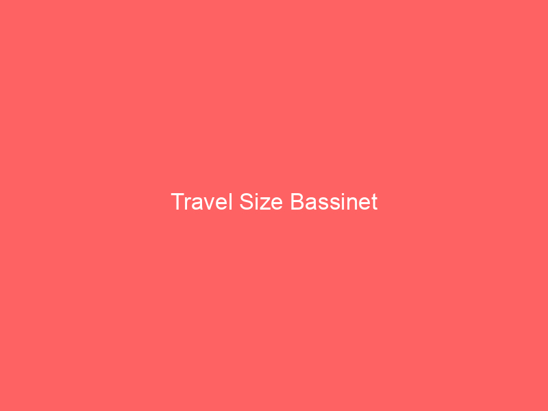 Travel Size Bassinet