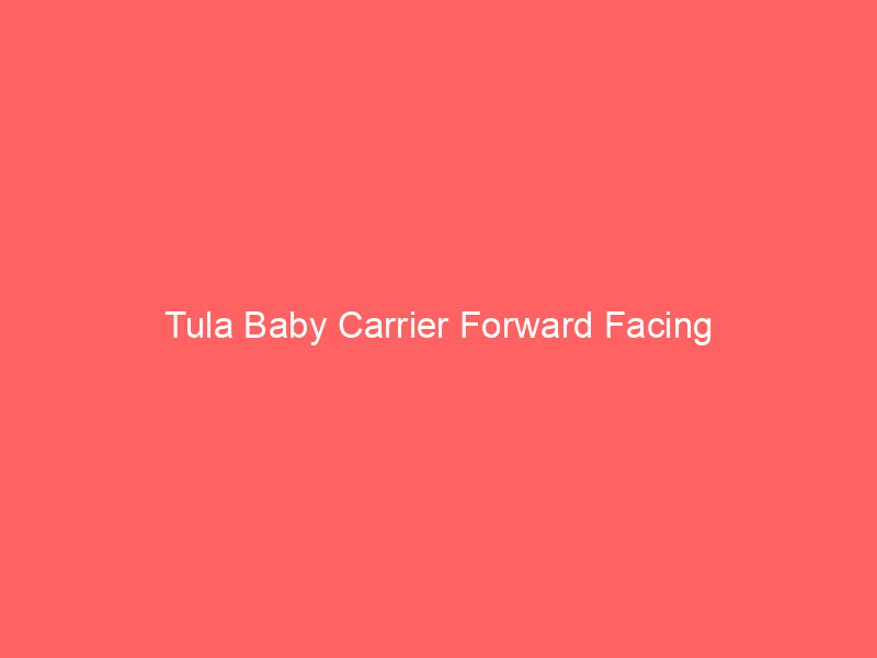 Tula Baby Carrier Forward Facing