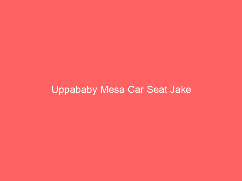 Uppababy Mesa Car Seat Jake