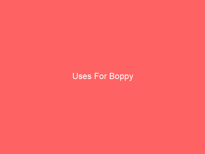 Uses For Boppy