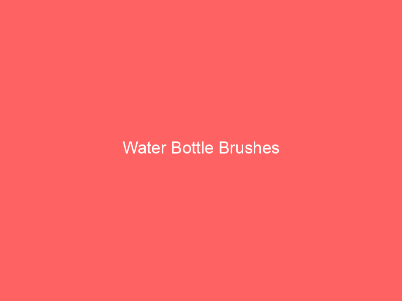 Water Bottle Brushes